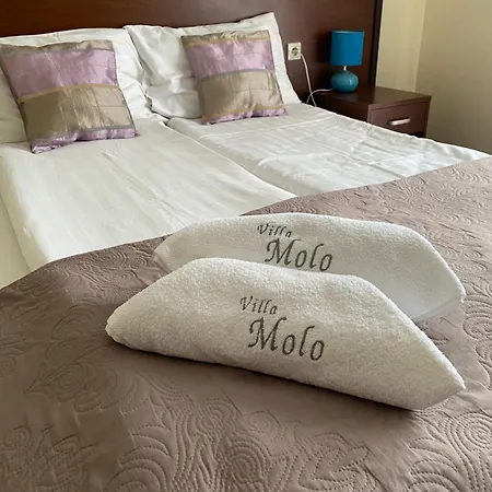 Molo بيت ضيافة ريفال